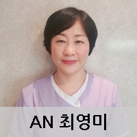 AN 최영미
